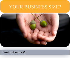 How big is your business?